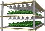 
植物栽培用高機能・省エネLED照明